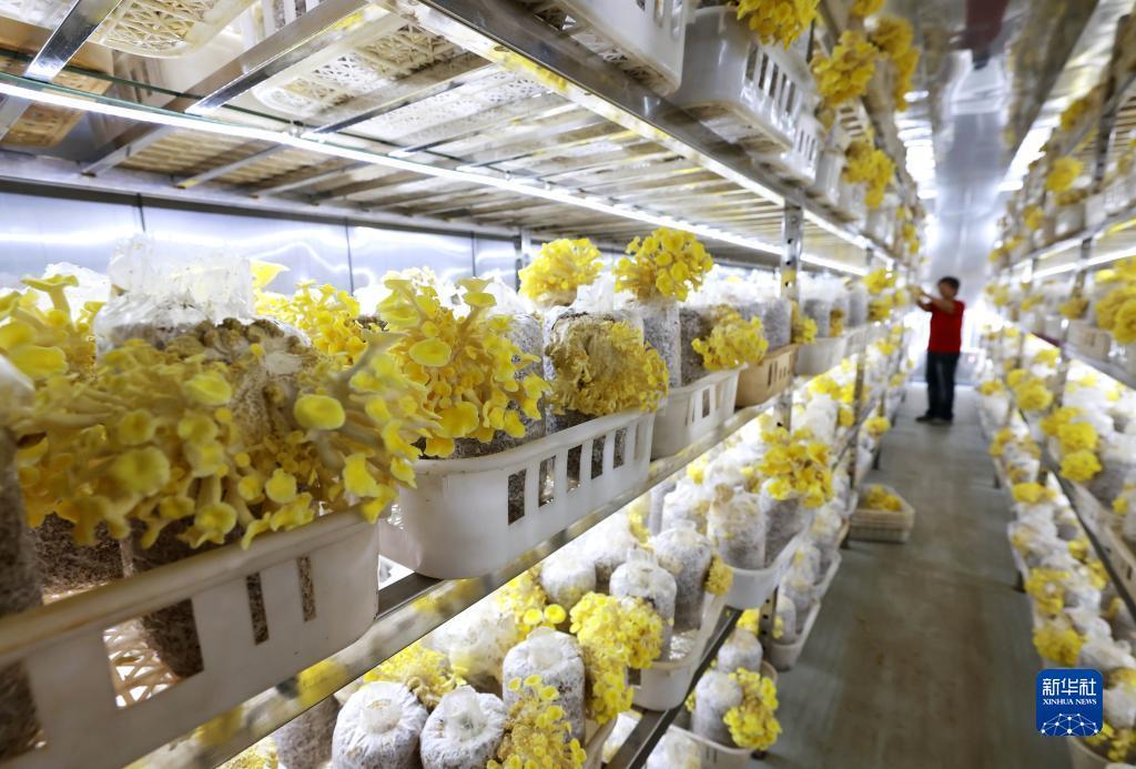 太阳城游戏登录